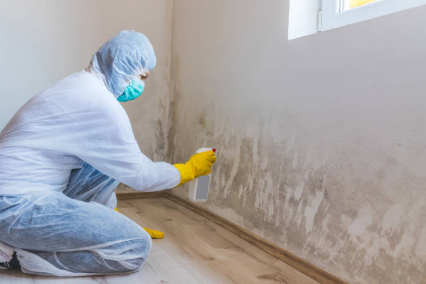 Mold Remediation specialist working in Cedar